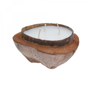 ECO CANDLE IN COCONUT 