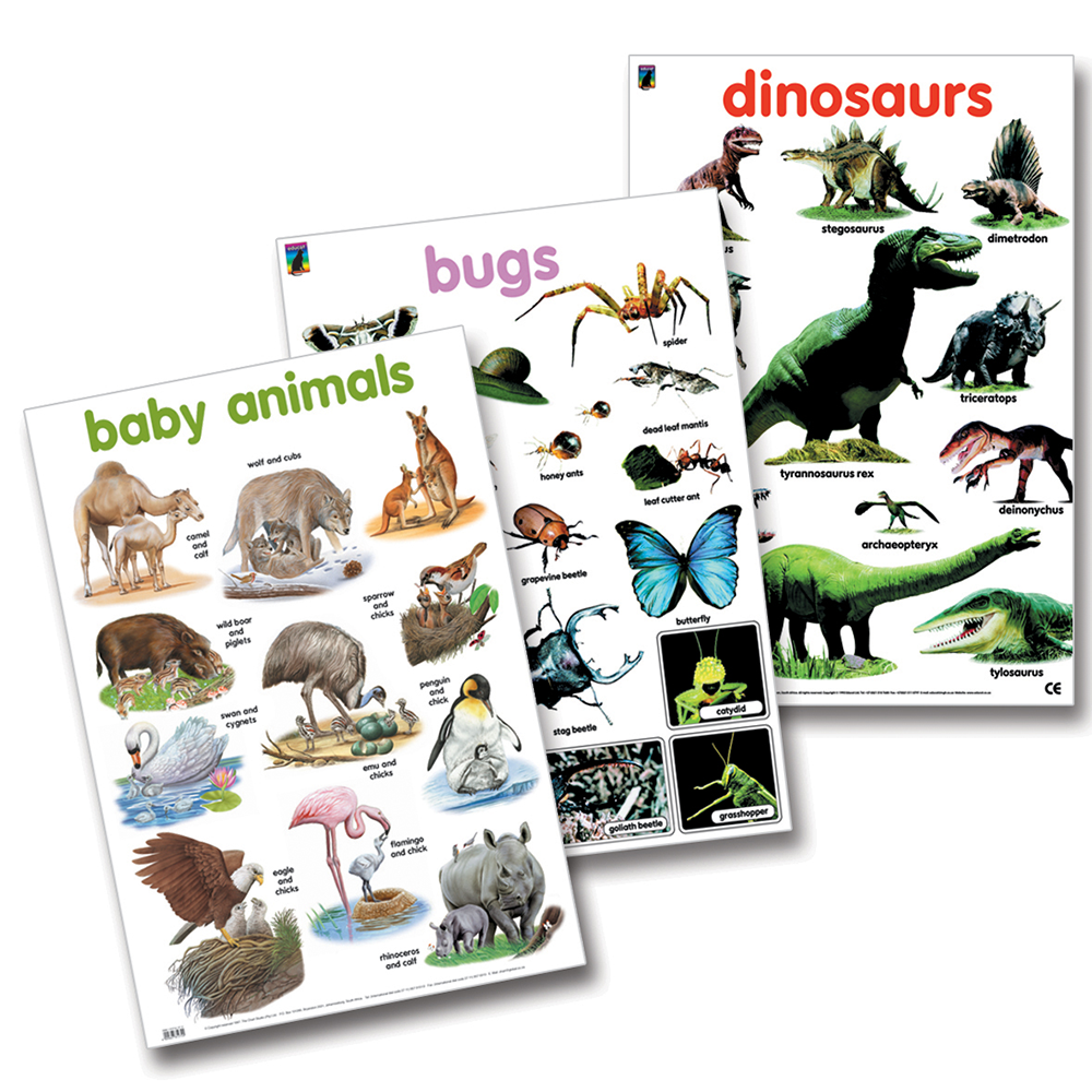 Educat wall chart 3 pack Animal Collection - Momentum Multiply Online Shop